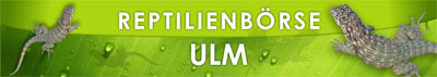 REPTILIENBÖRSE ULM