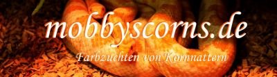 www.mobbyscorns.de