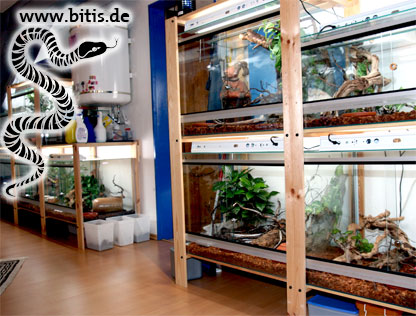 Terrarienanlage