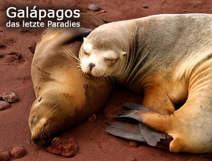 Galápagos das letzte Paradies