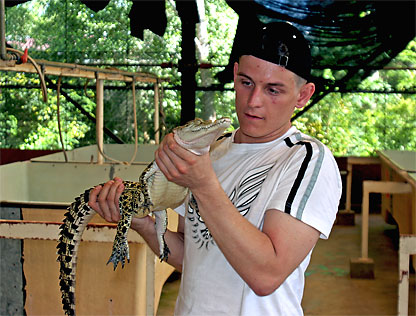 Palawan - Krokodil Farm